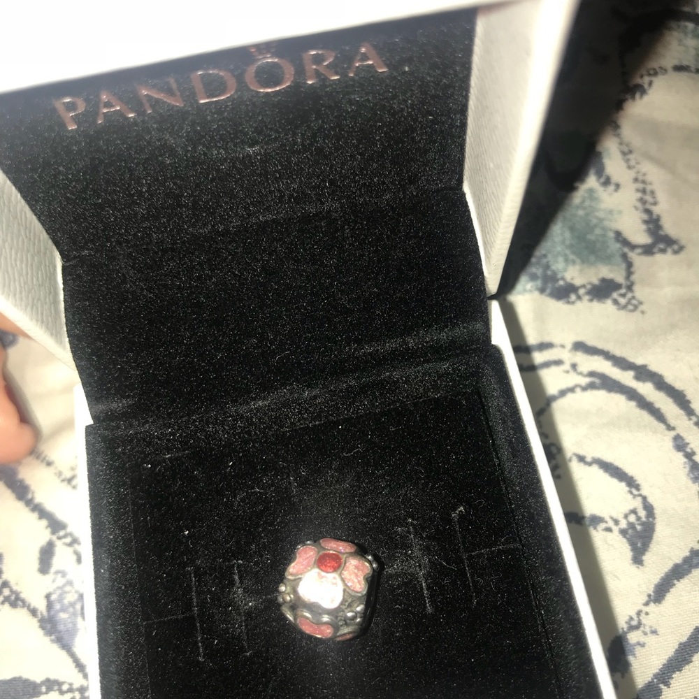 Pandora enamel charm